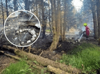 Fire crews respond to second forest fire in two day