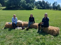 NFU Cymru brings farming to almost 20,000 Welsh pupils