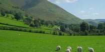 NFU Cymru launches Sustainable Agriculture Award