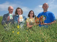 Brecon biscuit producer strikes gold with Pembrokeshire rapeseed oil