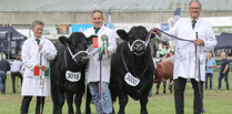 Knighton couple reflect on Royal Welsh Show success 