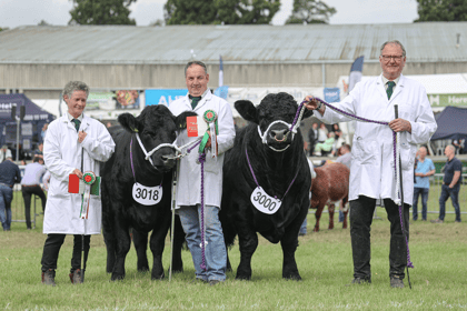 Knighton couple reflect on Royal Welsh Show success 