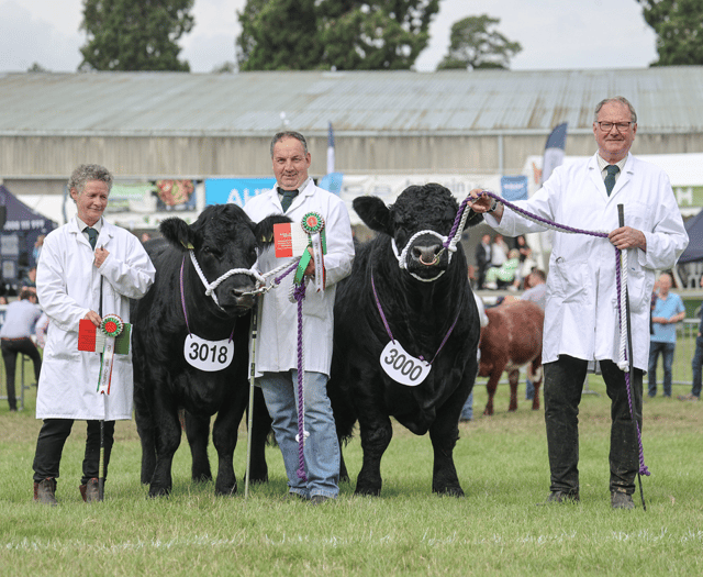 Knighton couple reflect on Royal Welsh Show success 