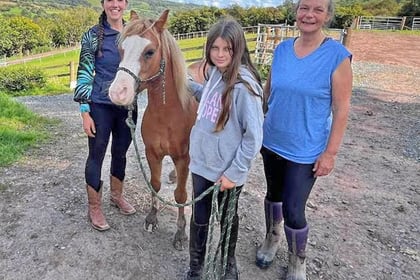 Winner Ophelia meets social media pony star Haribo at Brandy House Farm