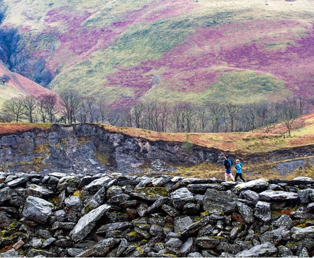 Runners set to tackle the Devil’s Staircase Ultra Trail Race 