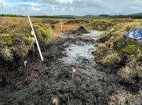 Wales offers grants for ‘shovel-ready’ peatland projects