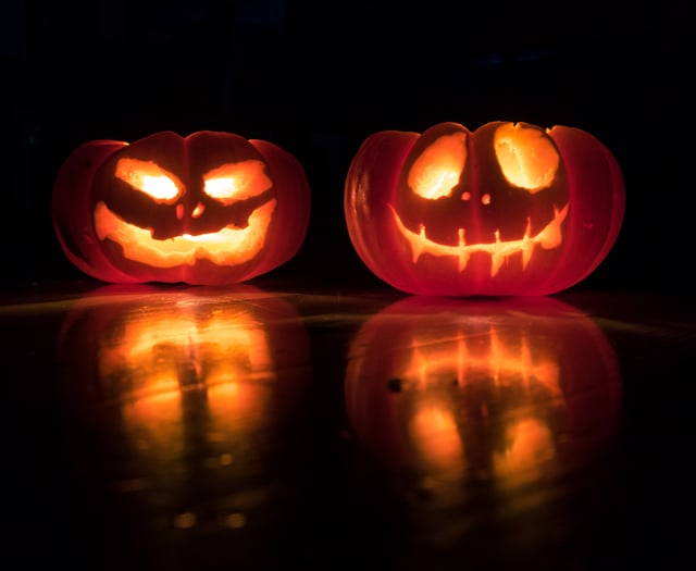 Powys County Council asks residents to be conscious of pumpkin waste