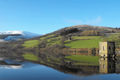 Video: Picture This - Nature in Brecon & Radnorshire!