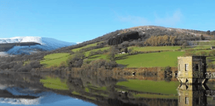 Video: Picture This - Nature in Brecon & Radnorshire!