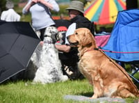 Entries now open for the Smallholding & Countryside Festival 