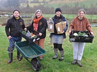 Powys couple's organic farming dream blooms into success