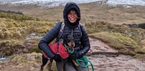 Terrier scales Pen y Fan to raise funds for rescue centre