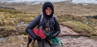 Terrier scales Pen y Fan to raise funds for rescue centre