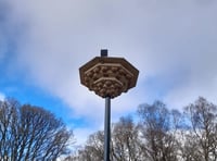 Wildlife nest tower installed in Llandrindod Wells