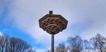 Wildlife nest tower installed in Llandrindod Wells