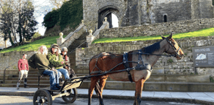 Hay-on-Wye horse owner launches unique delivery service