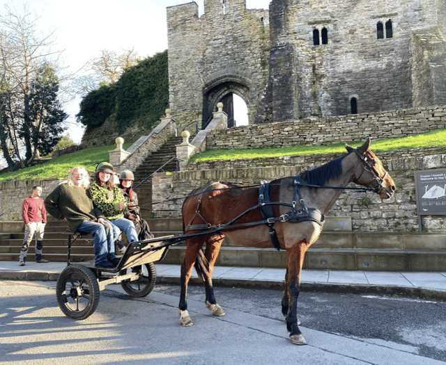 Hay-on-Wye horse owner launches unique delivery service