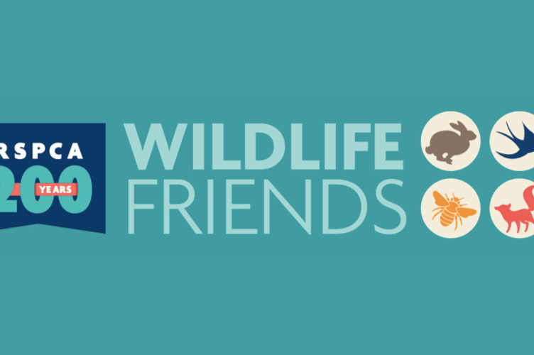 RSPCA Wildlife Friends