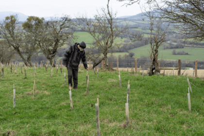 Charity continue mission to plant 1 million trees in Brecon Beacons