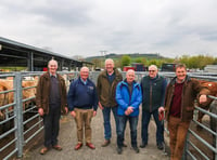 Farmers find strength in friendship amid prostate cancer battles