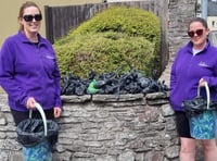 Friends For Pets Brecon to hold second 'poo patrol' in town