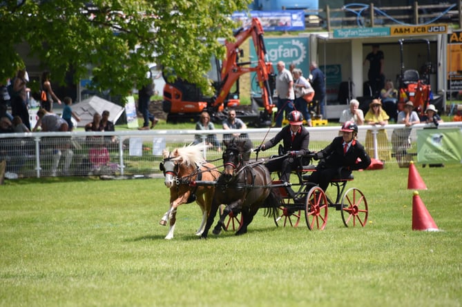 The thrilling scurry driving competitions were back in the Festival Display Ring