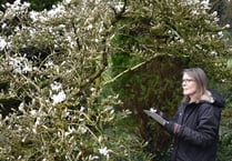 Welsh Marches garden attraction appoints new artist in residence