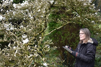 Welsh Marches garden attraction appoints new artist in residence