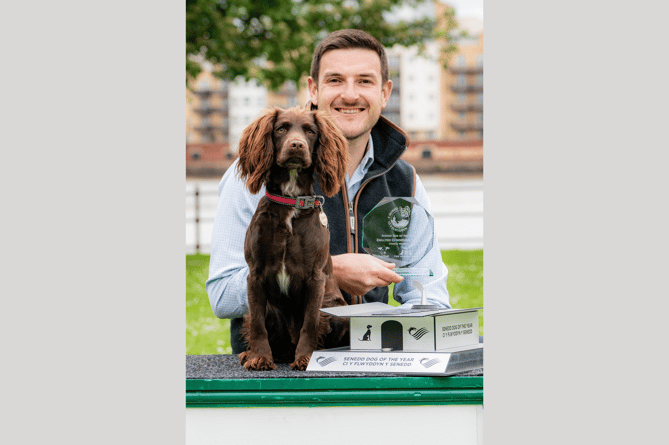 Senedd Dog of the Year ‘Pawblic’ vote winner Bonnie, with owner James Evans, MS for Brecon and Radnorshire.