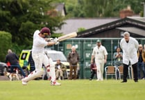 All-star cricket team take on Hay Festival, umpired by Stephen Fry
