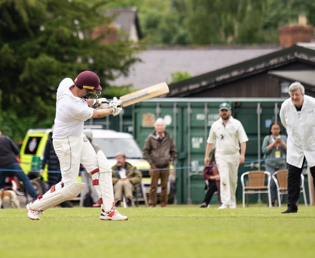 All-star cricket team take on Hay Festival, umpired by Stephen Fry