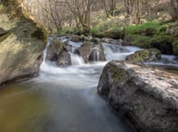 Radnorshire Wildlife Trust launch rivers appeal