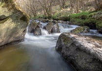 Radnorshire Wildlife Trust launch rivers appeal