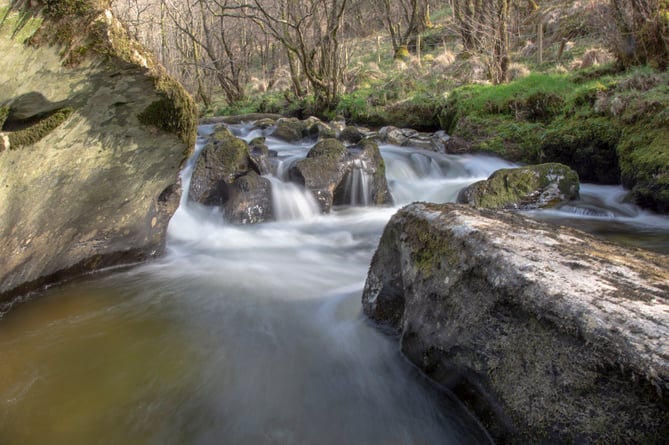 Radnorshire Wildlife Trust launch rivers appeal