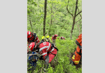 Fire crews rescue dog from cliff near waterfall
