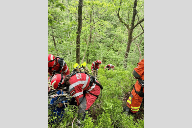 Crews to were called to an area near Henrhyd Falls to rescue a dog