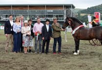 11 must-do activities at this year's Royal Welsh Show
