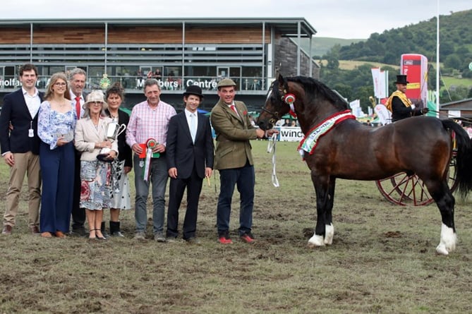 There's plenty to do at the Royal Welsh Show!