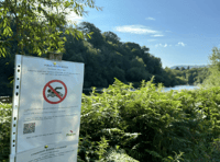 Bacteria concerns prompt closure of Wye bathing spot