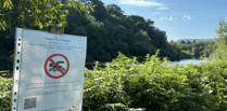 Bacteria concerns prompt closure of Wye bathing spot