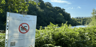 Bacteria concerns prompt closure of Wye bathing spot