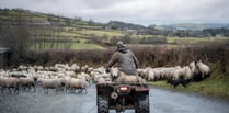 Future of farming seminar at Royal Welsh Show