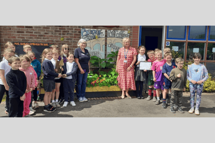 Llanfaes Primary blooms in Brecon Rotary's gardening challenge
