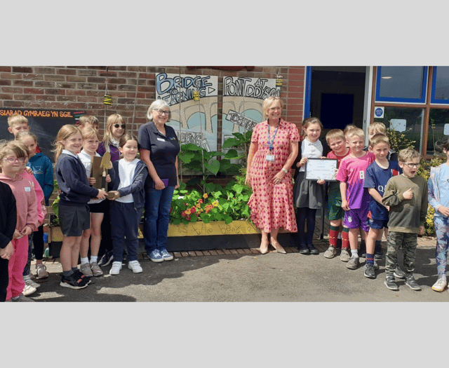 Llanfaes Primary blooms in Brecon Rotary's gardening challenge