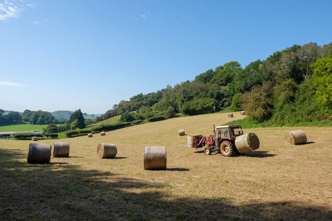 Samaritans Cymru - Our Farming, Our Futures