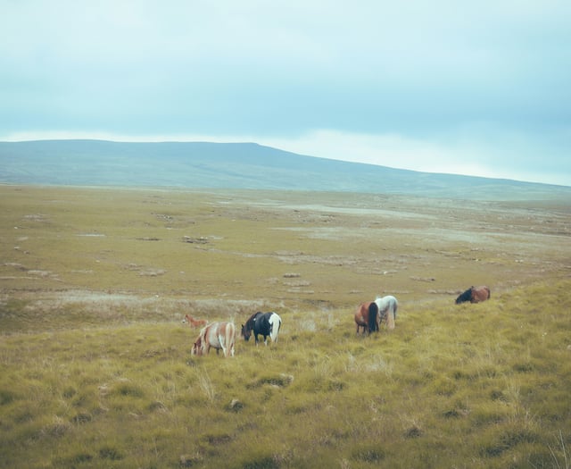 UK National Parks join UN's 'Race to Zero' initiative