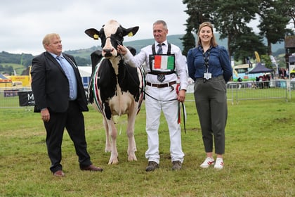 Who were the key winners at the Royal Welsh Show?