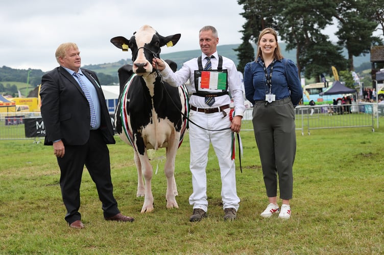 Supreme Champion Dairy Cow - Dulais Silver Lustre - Messers Davies, Haines, Jones, Sercombe & Yates