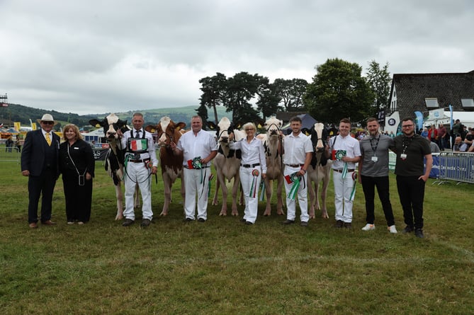 Dairy Team of Five Winners- Holsteins from Davies, Haines, Jones, Sercombe & Yates, David Jones and Hefyn Wilson