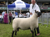 Flock makes it six out of seven at Royal Welsh